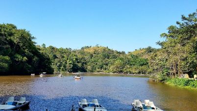 Pookode Lake